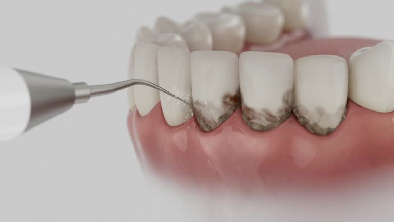 Reliable Dental contractor in Golden Glades, FL by Dentist Open Now